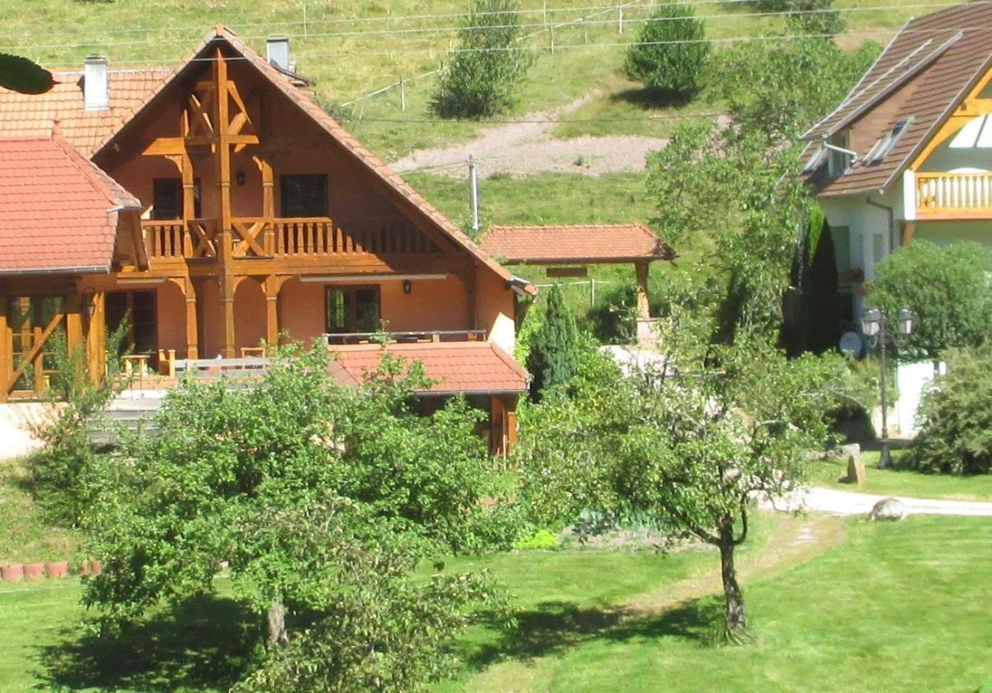 Les Gites La Cerisaie Breitenbach Номер фото